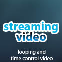 cebu, web, developer,animator, interactive, ads